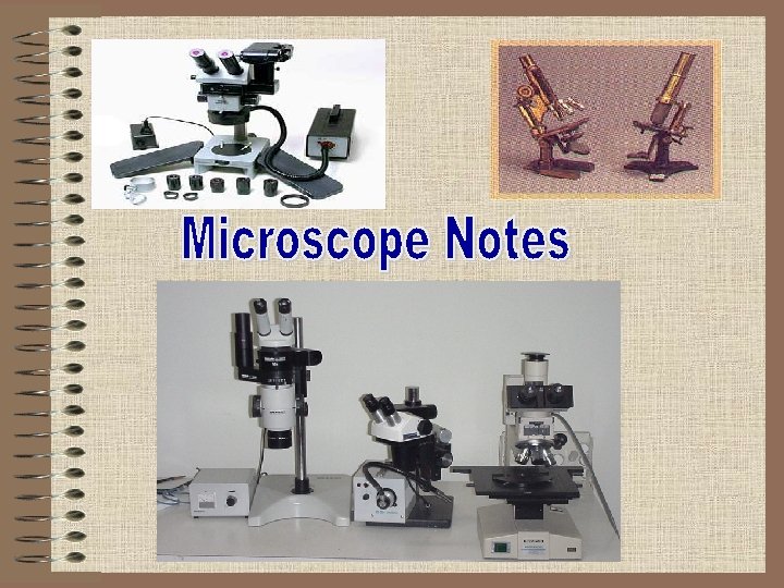 Introduction to the Microscope Care Parts Focusing BELL