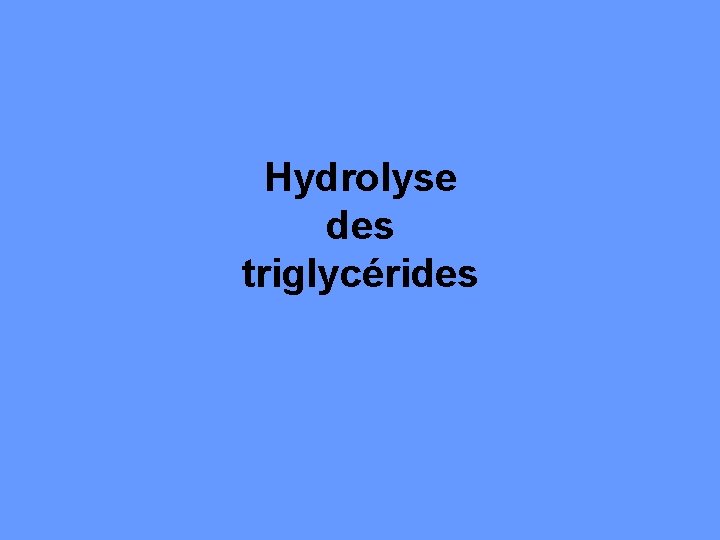 Hydrolyse des triglycérides 