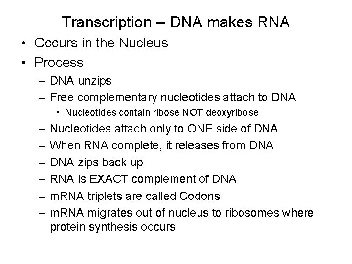 Transcription – DNA makes RNA • Occurs in the Nucleus • Process – DNA