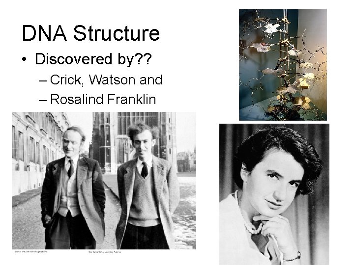 DNA Structure • Discovered by? ? – Crick, Watson and – Rosalind Franklin 