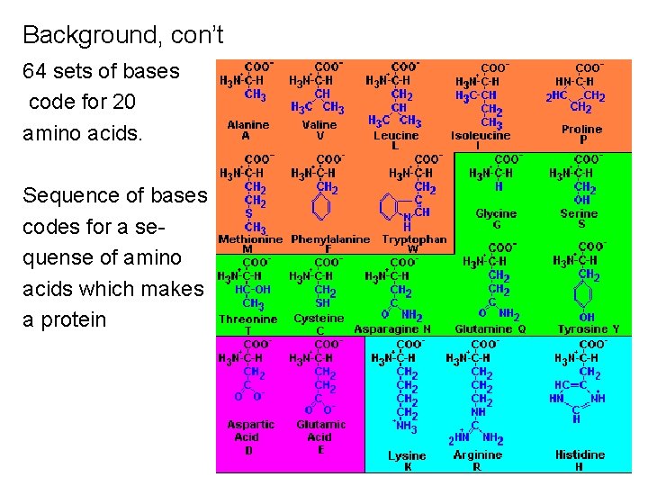 Background, con’t 64 sets of bases code for 20 amino acids. Sequence of bases