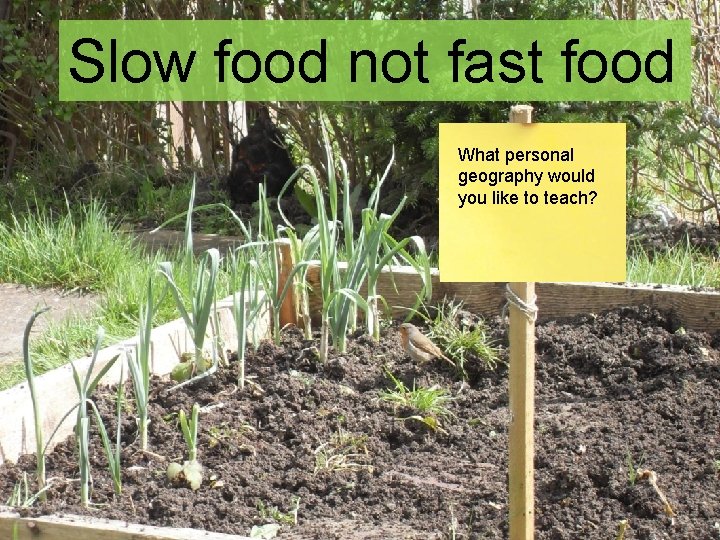 Slow food not fast food What personal geography would you like to teach? 