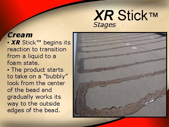 XR Stick ™ Stages Cream • XR Stick™ begins its reaction to transition from