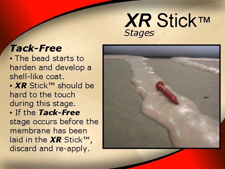 XR Stick ™ Stages Tack-Free • The bead starts to harden and develop a