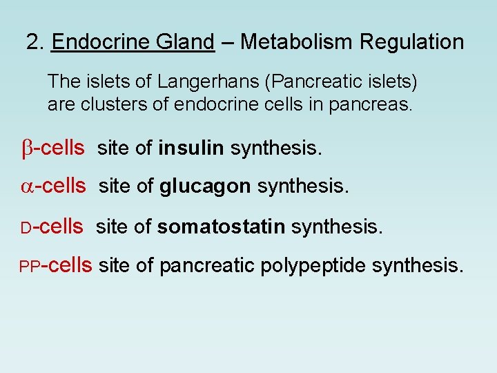 2. Endocrine Gland – Metabolism Regulation The islets of Langerhans (Pancreatic islets) are clusters