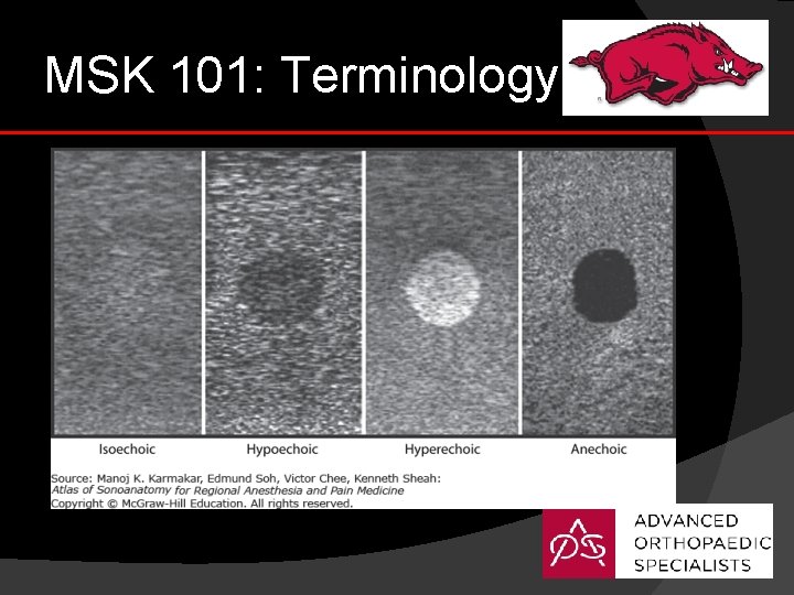 MSK 101: Terminology 