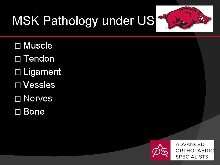 MSK Pathology under US � Muscle � Tendon � Ligament � Vessles � Nerves