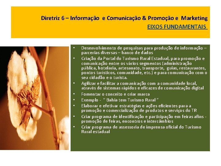 Diretriz 6 – Informação e Comunicação & Promoção e Marketing EIXOS FUNDAMENTAIS • •