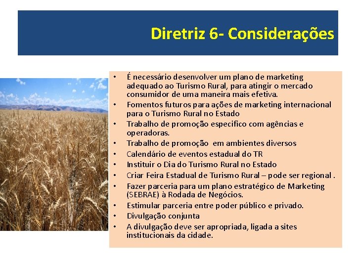 Diretriz 6 - Considerações • • • É necessário desenvolver um plano de marketing