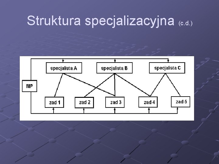 Struktura specjalizacyjna (c. d. ) 