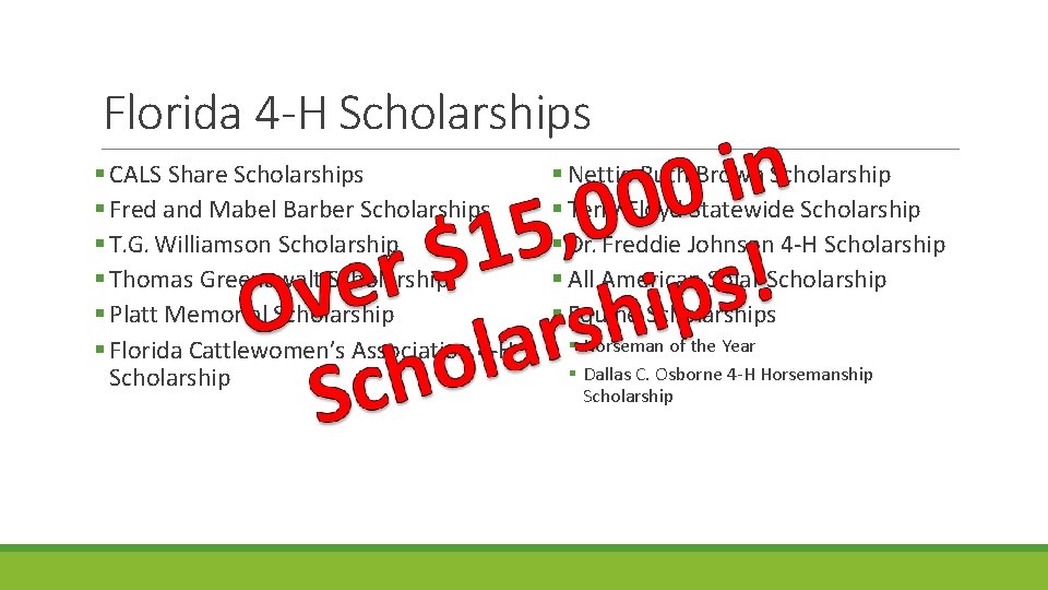 Florida 4 -H Scholarships CALS Share Scholarships Fred and Mabel Barber Scholarships T. G. Florida 4 -H Scholarships CALS Share Scholarships Fred and Mabel Barber Scholarships T. G.