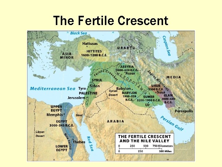 The Fertile Crescent 