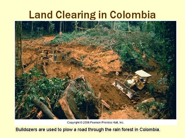 Land Clearing in Colombia Bulldozers are used to plow a road through the rain