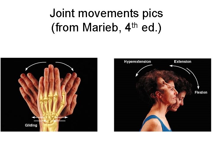 Joint movements pics (from Marieb, 4 th ed. ) 