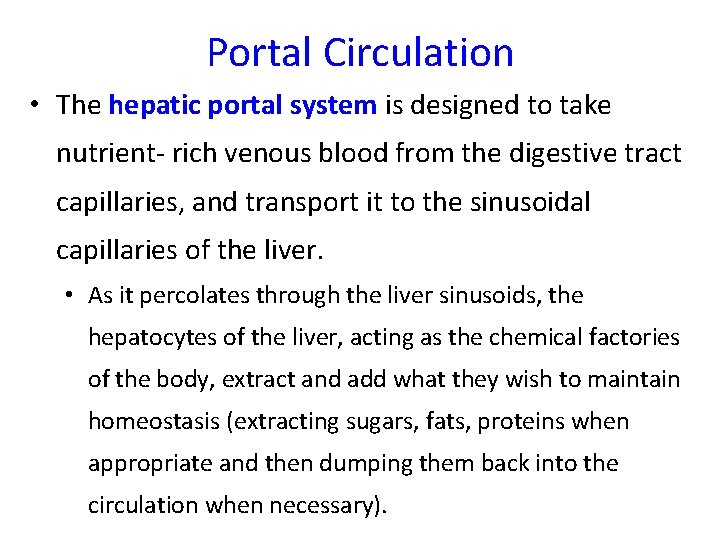 Portal Circulation • The hepatic portal system is designed to take nutrient- rich venous