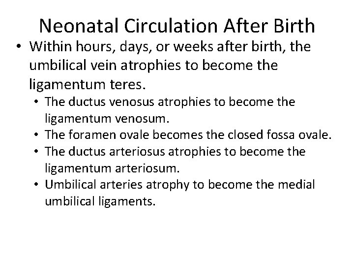 Neonatal Circulation After Birth • Within hours, days, or weeks after birth, the umbilical
