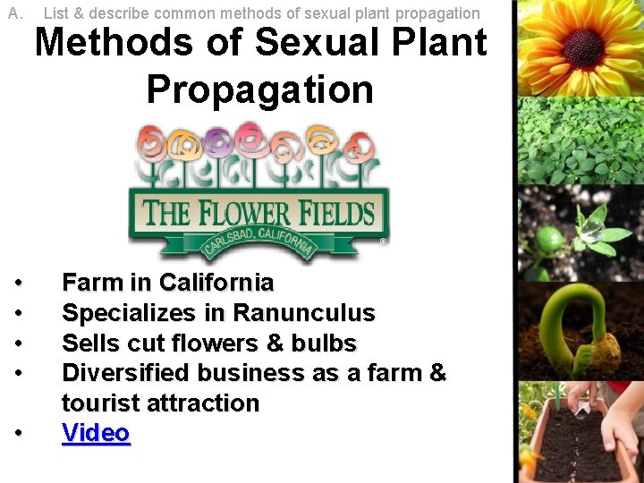 A. • • • List & describe common methods of sexual plant propagation Methods A. • • • List & describe common methods of sexual plant propagation Methods