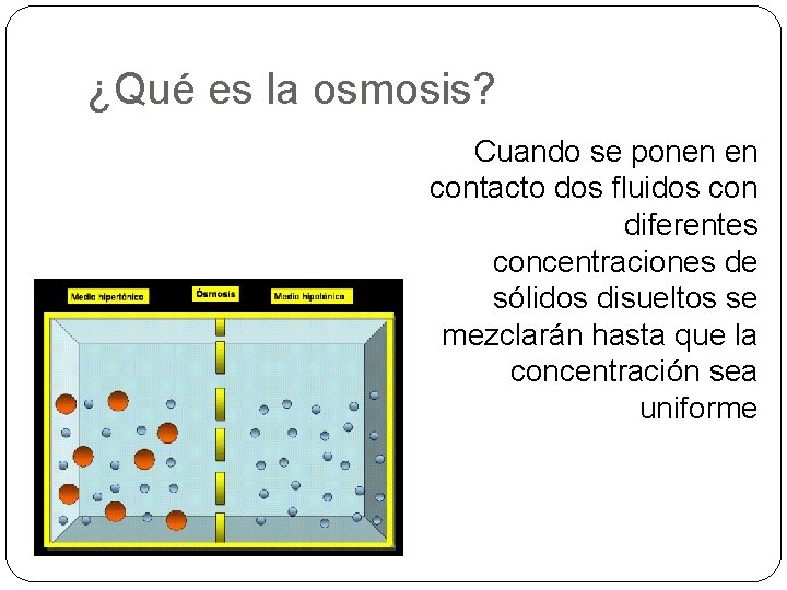 ¿Qué es la osmosis? Cuando se ponen en contacto dos fluidos con diferentes concentraciones