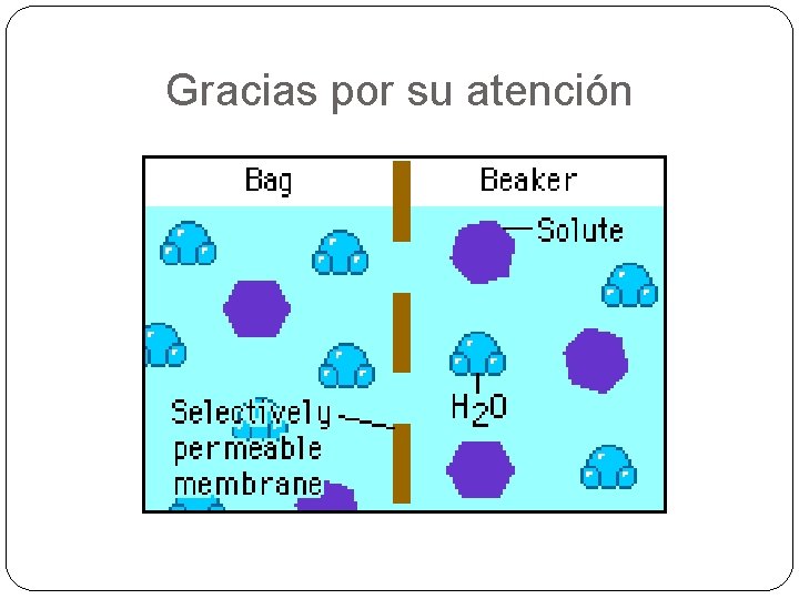 Gracias por su atención 