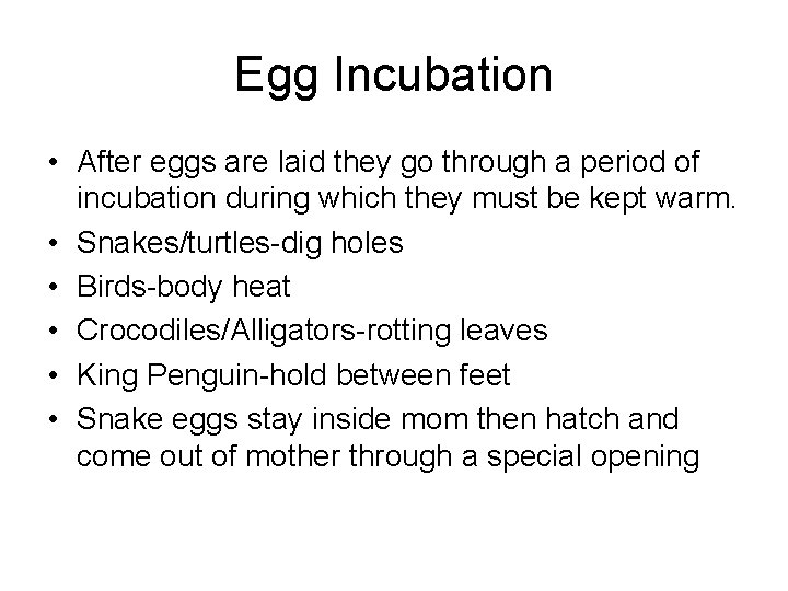 Egg Incubation • After eggs are laid they go through a period of incubation Egg Incubation • After eggs are laid they go through a period of incubation