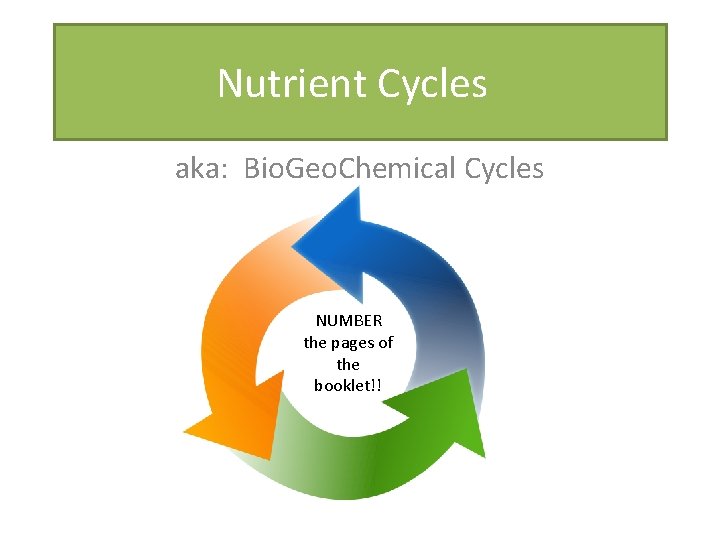 Nutrient Cycles aka: Bio. Geo. Chemical Cycles NUMBER the pages of the booklet!! 