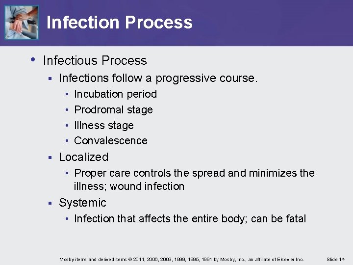 Infection Process • Infectious Process § Infections follow a progressive course. • • §