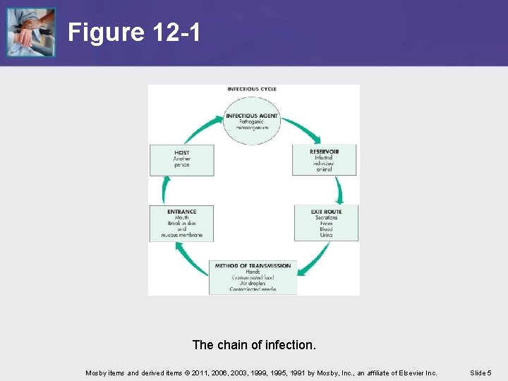 Figure 12 -1 The chain of infection. Mosby items and derived items © 2011,