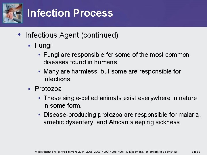Infection Process • Infectious Agent (continued) § Fungi • Fungi are responsible for some