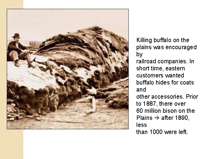 Killing buffalo on the plains was encouraged by railroad companies. In short time, eastern