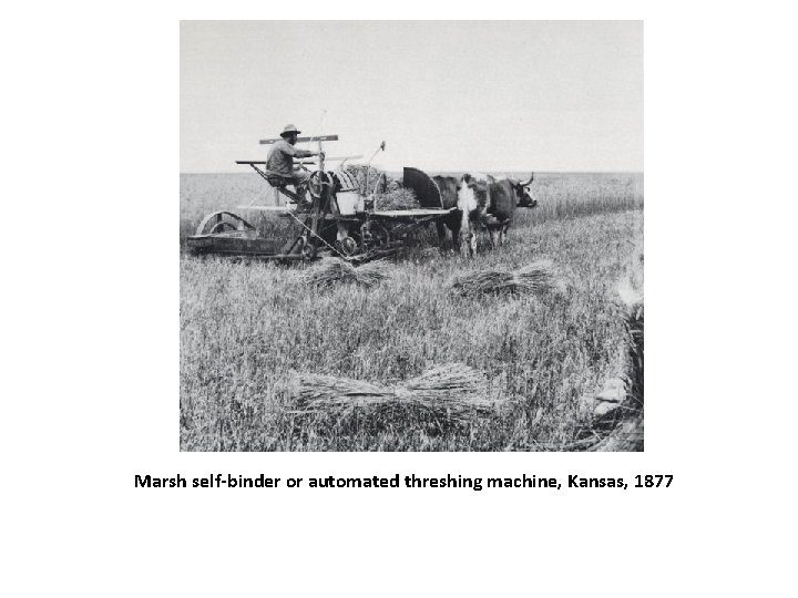 Marsh self-binder or automated threshing machine, Kansas, 1877 