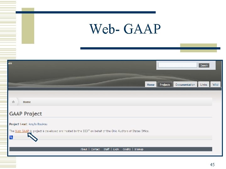 Web- GAAP 45 