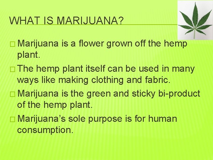 WHAT IS MARIJUANA? � Marijuana is a flower grown off the hemp plant. �