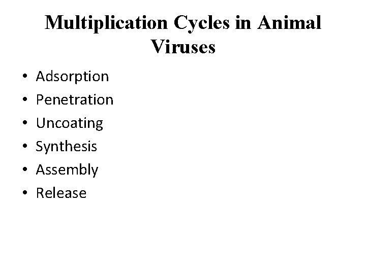 Multiplication Cycles in Animal Viruses • • • Adsorption Penetration Uncoating Synthesis Assembly Release