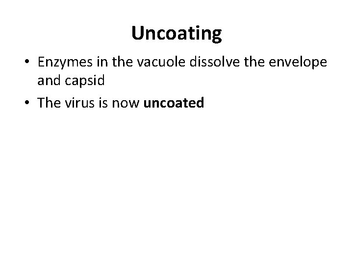 Uncoating • Enzymes in the vacuole dissolve the envelope and capsid • The virus