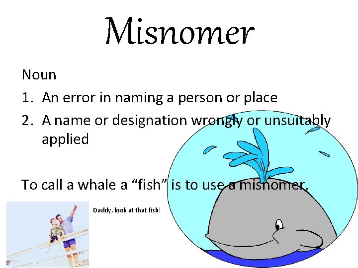 Misnomer Noun 1. An error in naming a person or place 2. A name