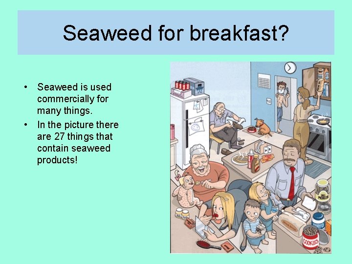 Seaweed for breakfast? • Seaweed is used commercially for many things. • In the