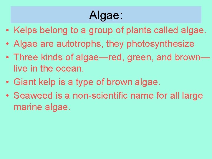 Algae: • Kelps belong to a group of plants called algae. • Algae are