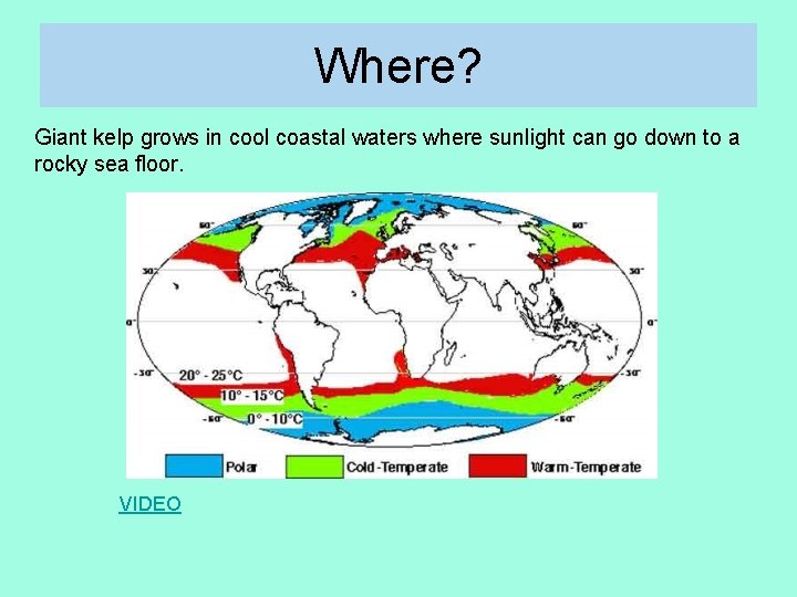 Where? Giant kelp grows in cool coastal waters where sunlight can go down to