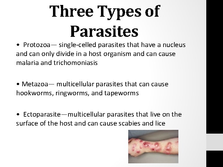Three Types of Parasites • Protozoa— single-celled parasites that have a nucleus and can