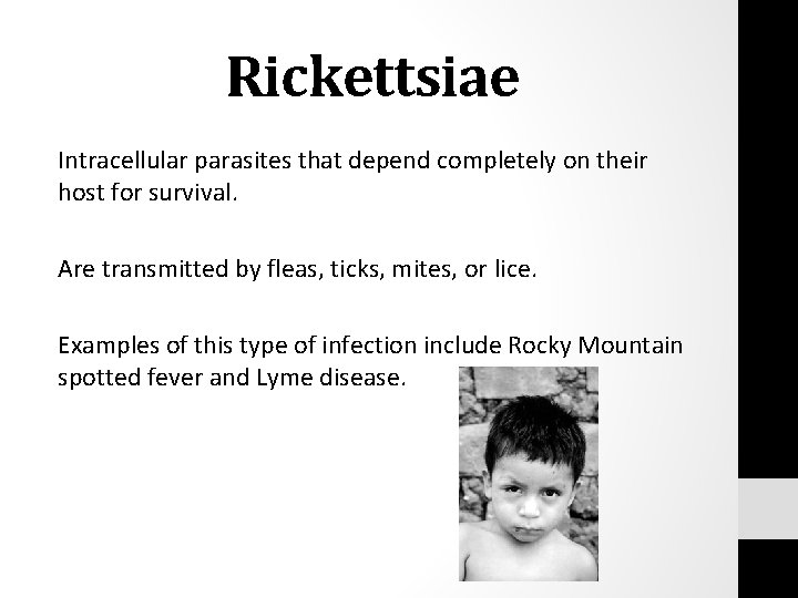 Rickettsiae Intracellular parasites that depend completely on their host for survival. Are transmitted by