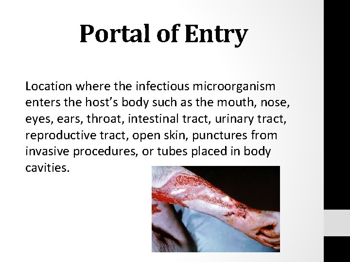 Portal of Entry Location where the infectious microorganism enters the host’s body such as