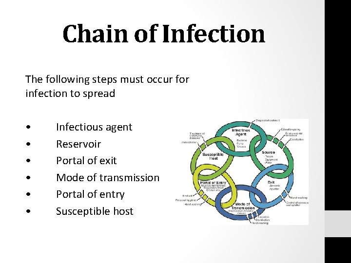 Chain of Infection The following steps must occur for infection to spread • •