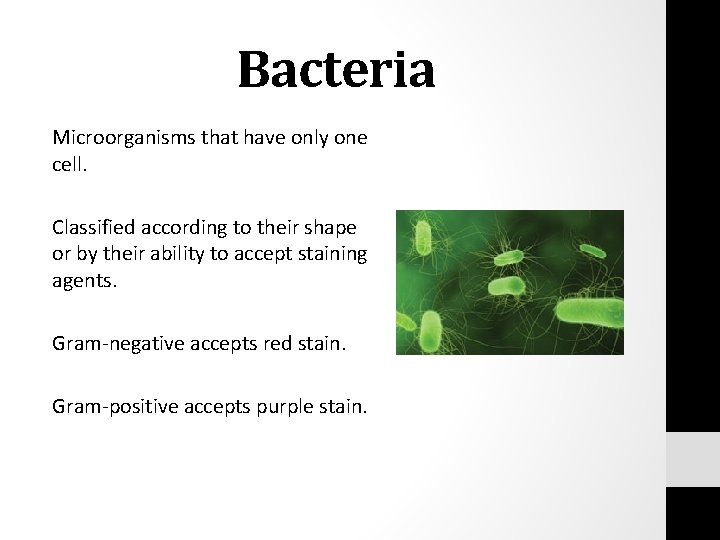 Bacteria Microorganisms that have only one cell. Classified according to their shape or by
