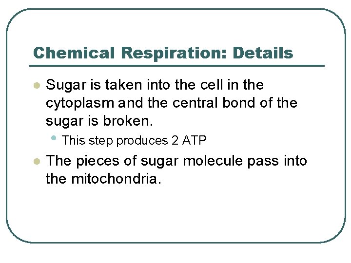 Chemical Respiration: Details l Sugar is taken into the cell in the cytoplasm and