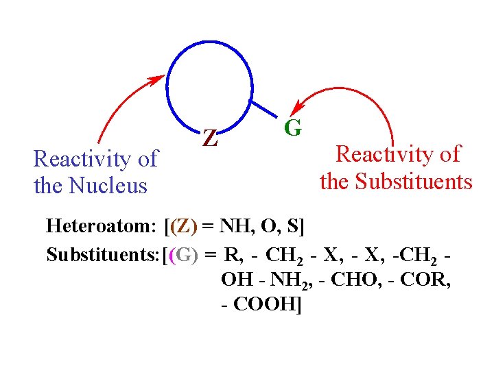 Reactivity of the Nucleus Z G Reactivity of the Substituents Heteroatom: [(Z) = NH,