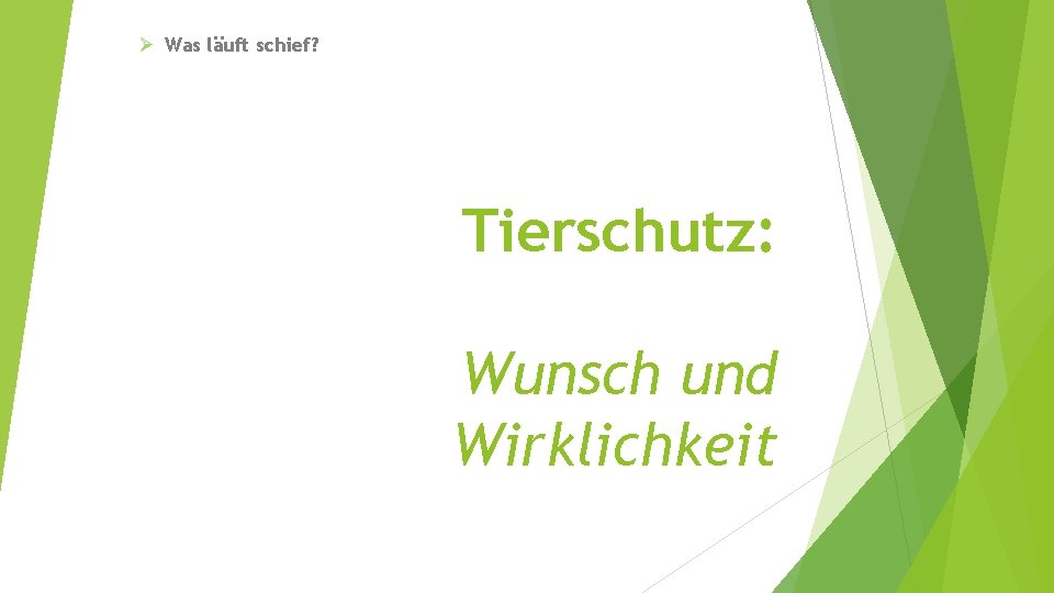 Ø Was läuft schief? Tierschutz: Wunsch und Wirklichkeit 