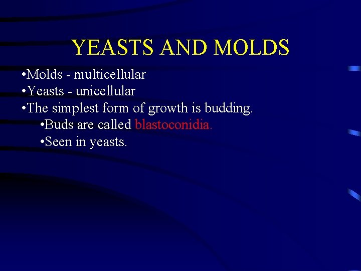 YEASTS AND MOLDS • Molds - multicellular • Yeasts - unicellular • The simplest