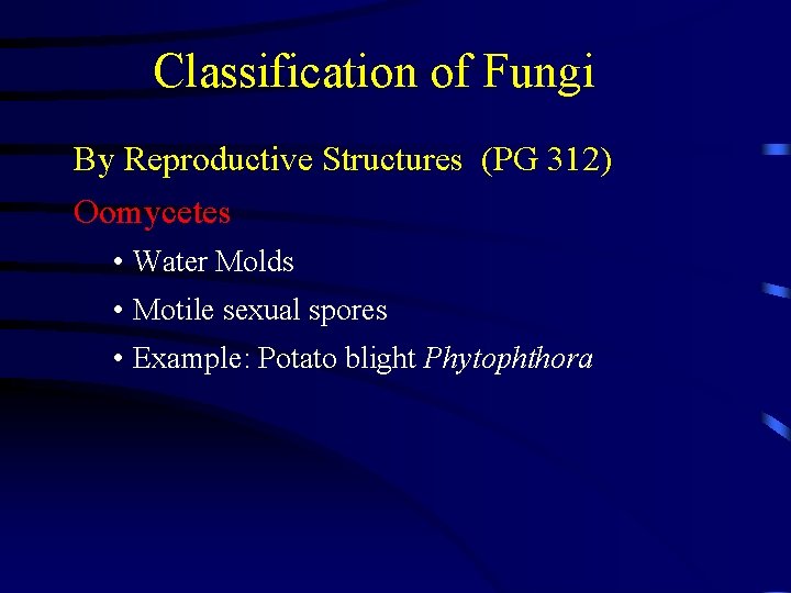 Classification of Fungi By Reproductive Structures (PG 312) Oomycetes • Water Molds • Motile