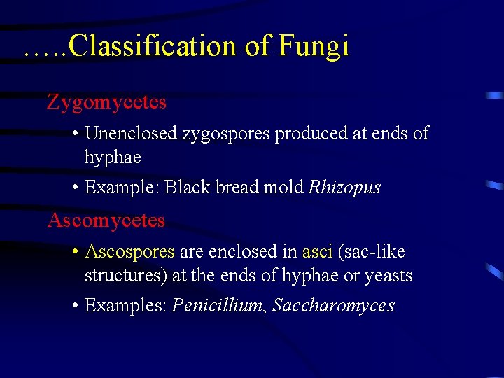 …. . Classification of Fungi Zygomycetes • Unenclosed zygospores produced at ends of hyphae