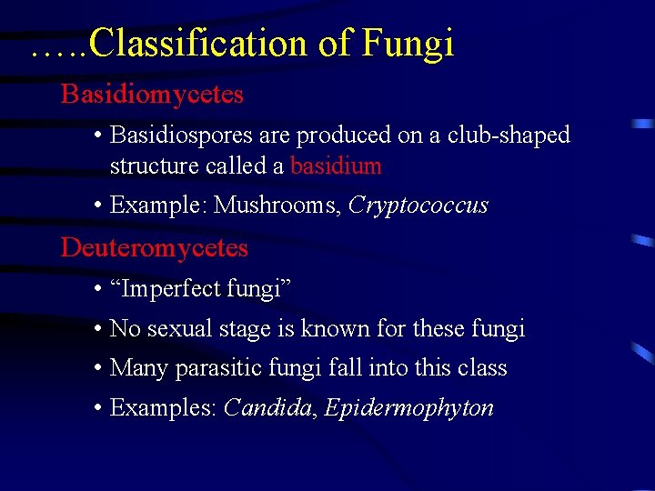 …. . Classification of Fungi Basidiomycetes • Basidiospores are produced on a club-shaped structure